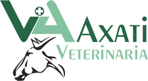 Clínica Equina Axati