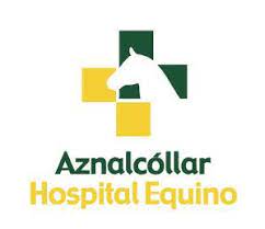 Aznalcollar Hospital Equino